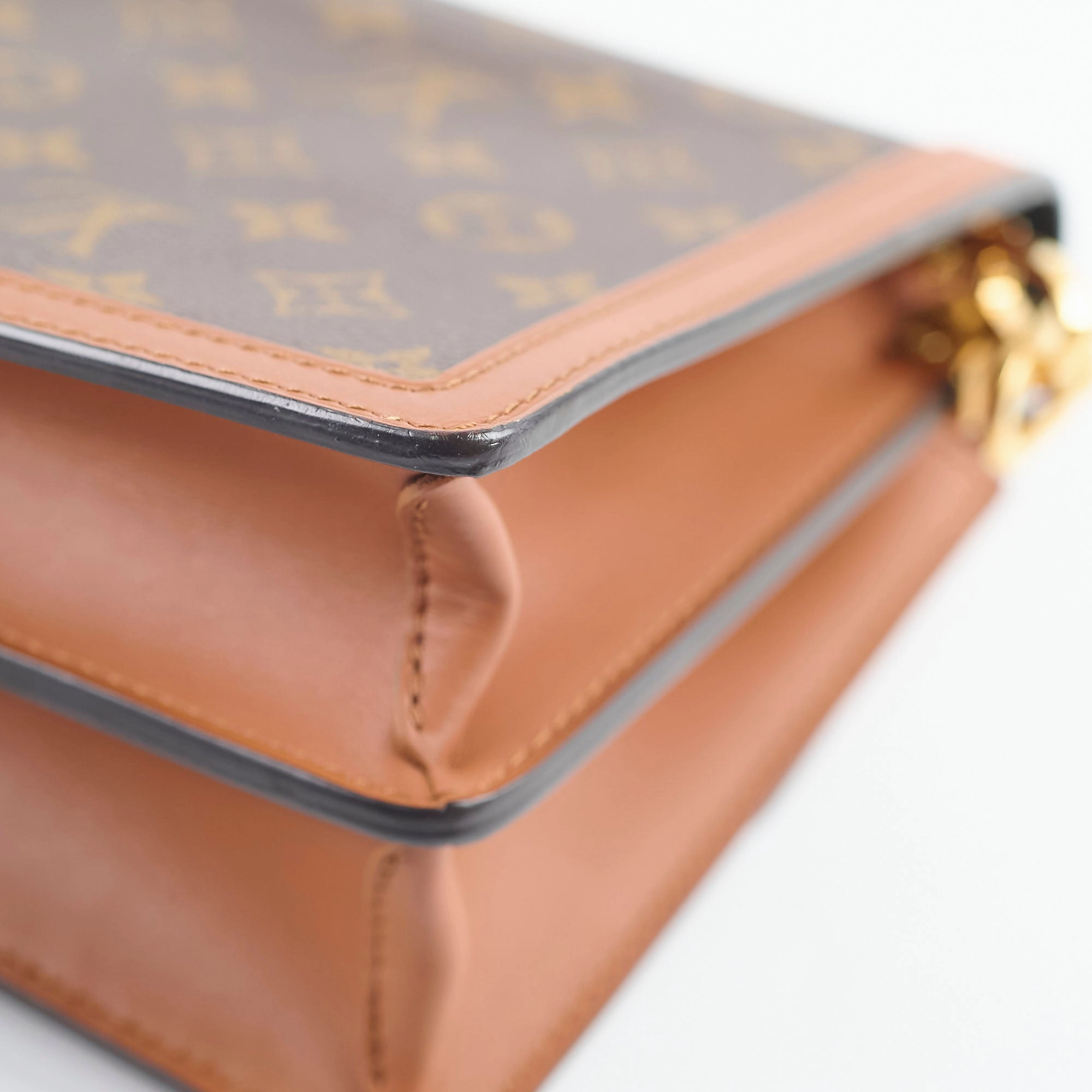 Louis Vuitton Dauphine Reverse Monogram Microchip