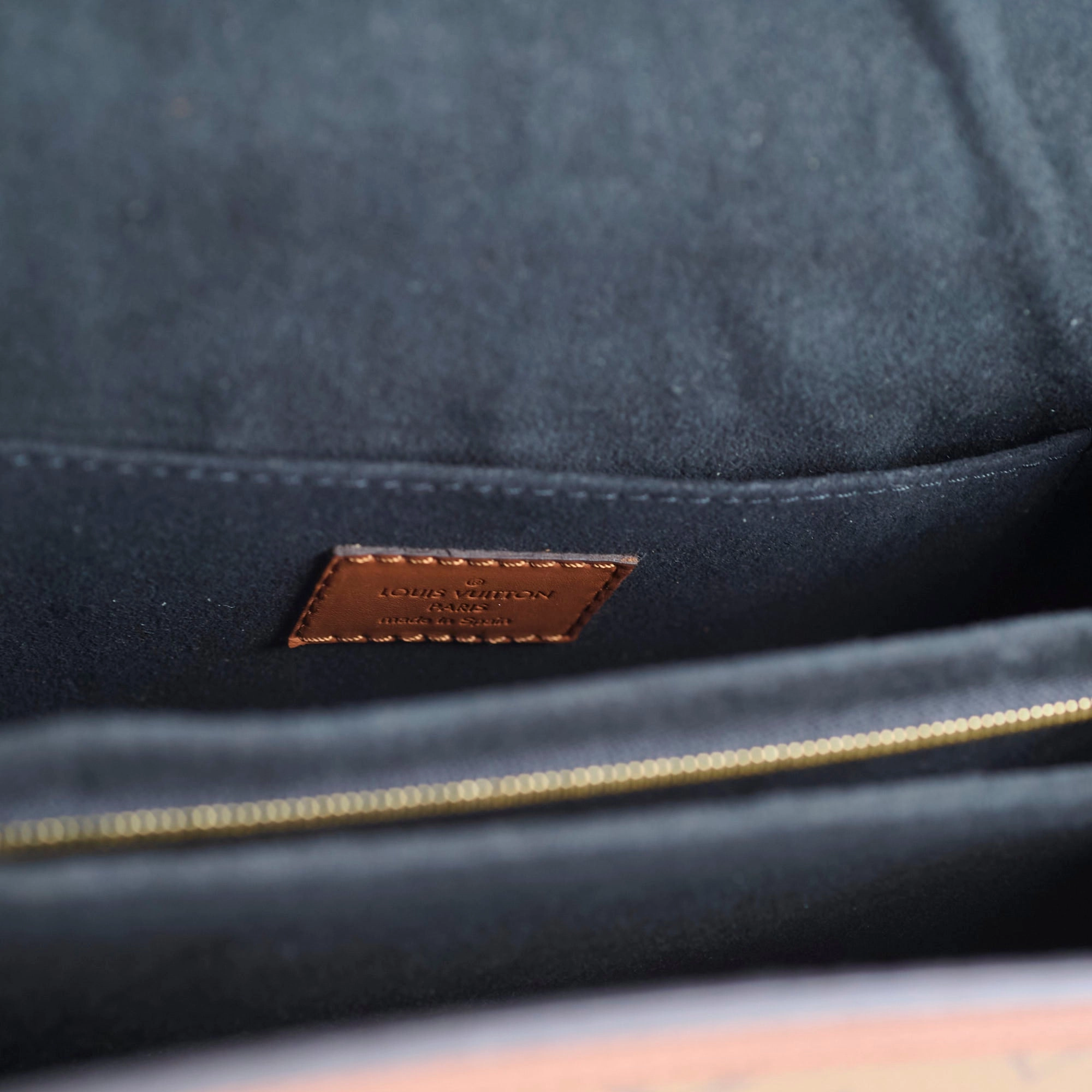 Louis Vuitton Dauphine Reverse Monogram Microchip