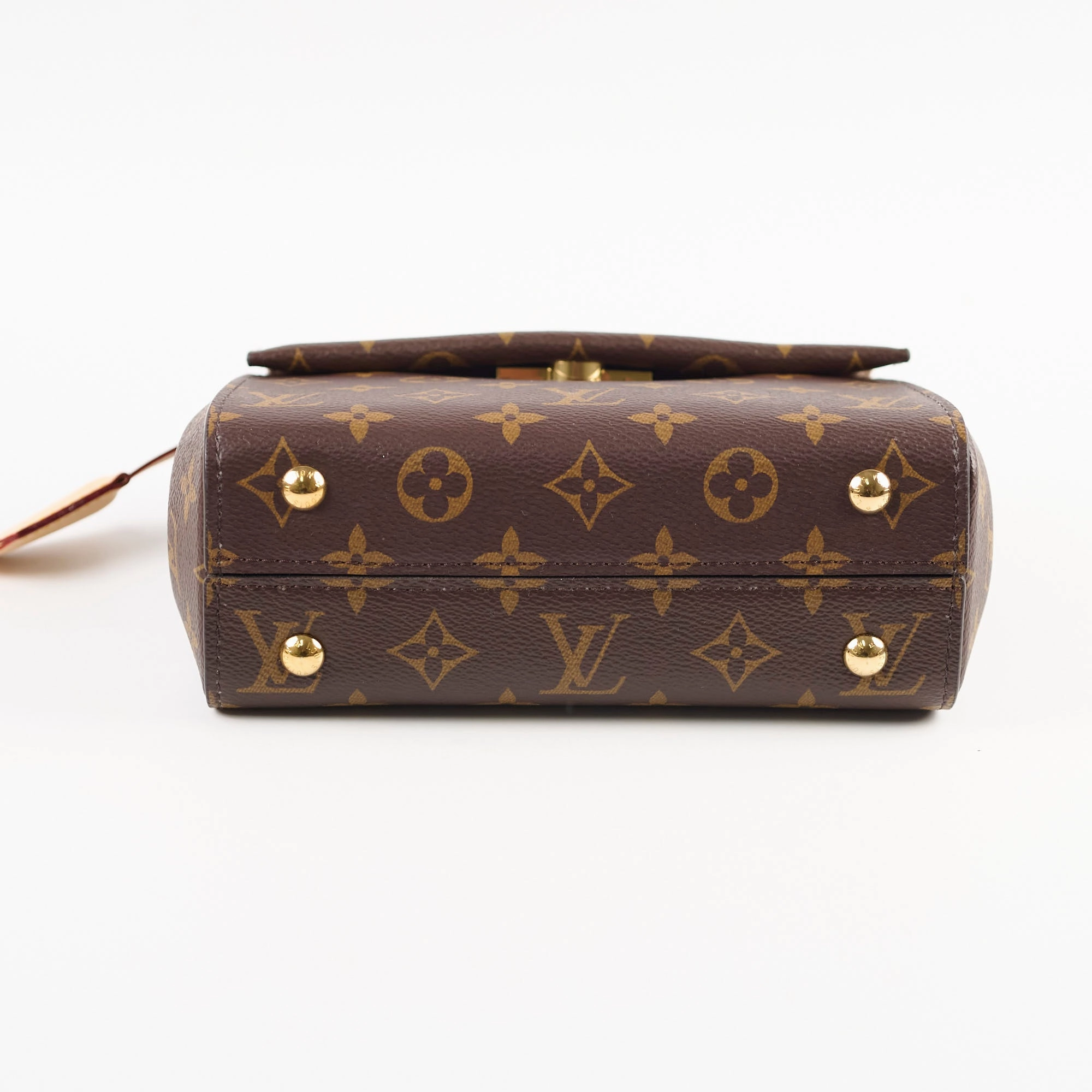 Louis Vuitton Mini Clunny Monogram Microchip