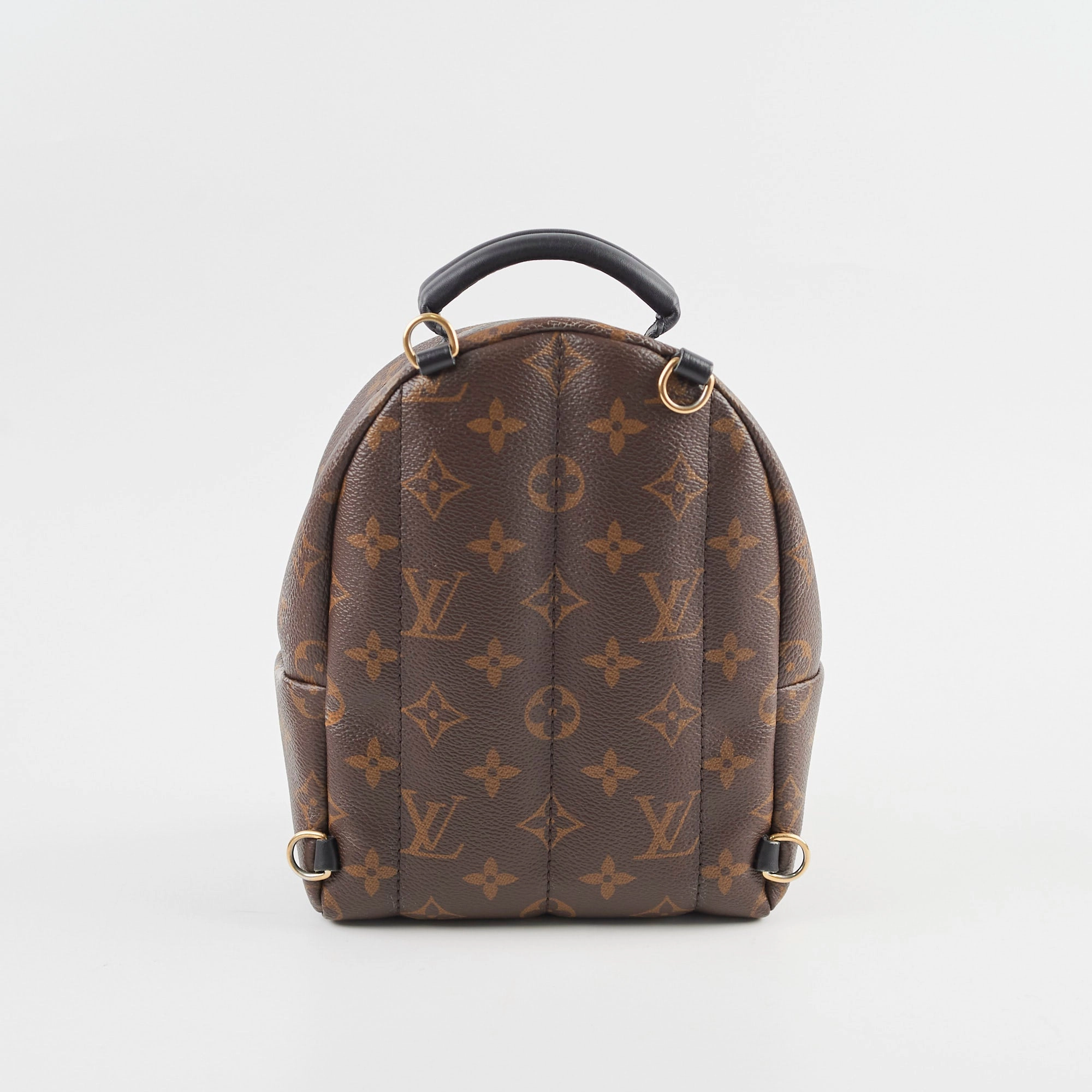 Louis Vuitton Mini Palm Spring Backpack Monogram