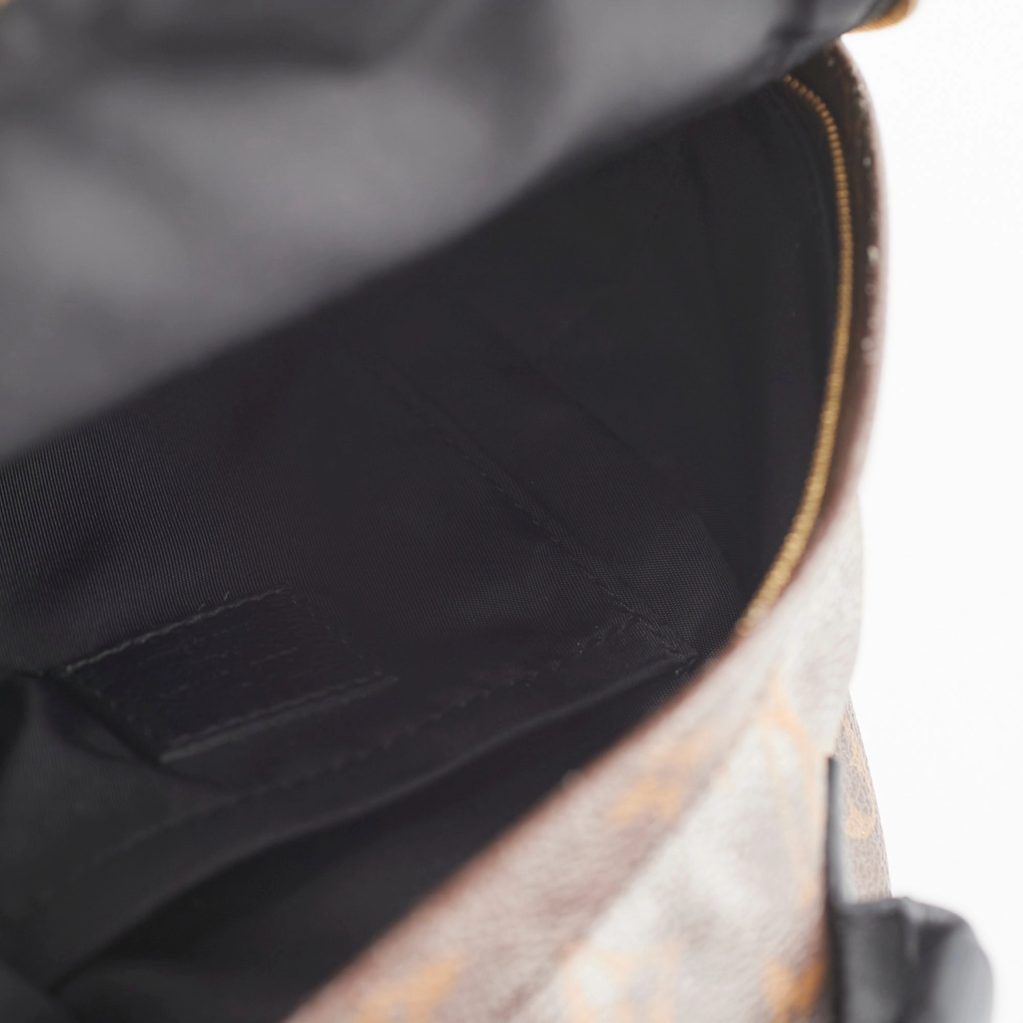 Louis Vuitton Mini Palm Spring Backpack Monogram