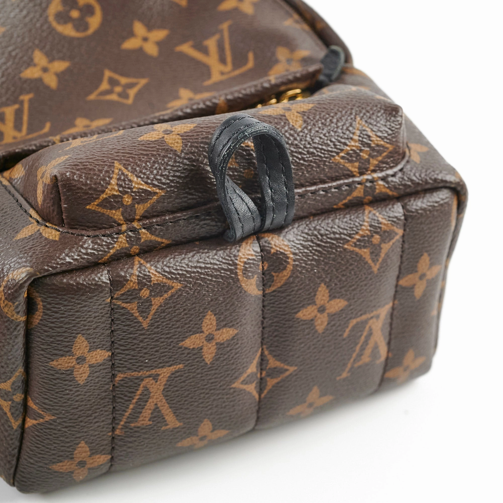 Louis Vuitton Mini Palm Spring Monogram