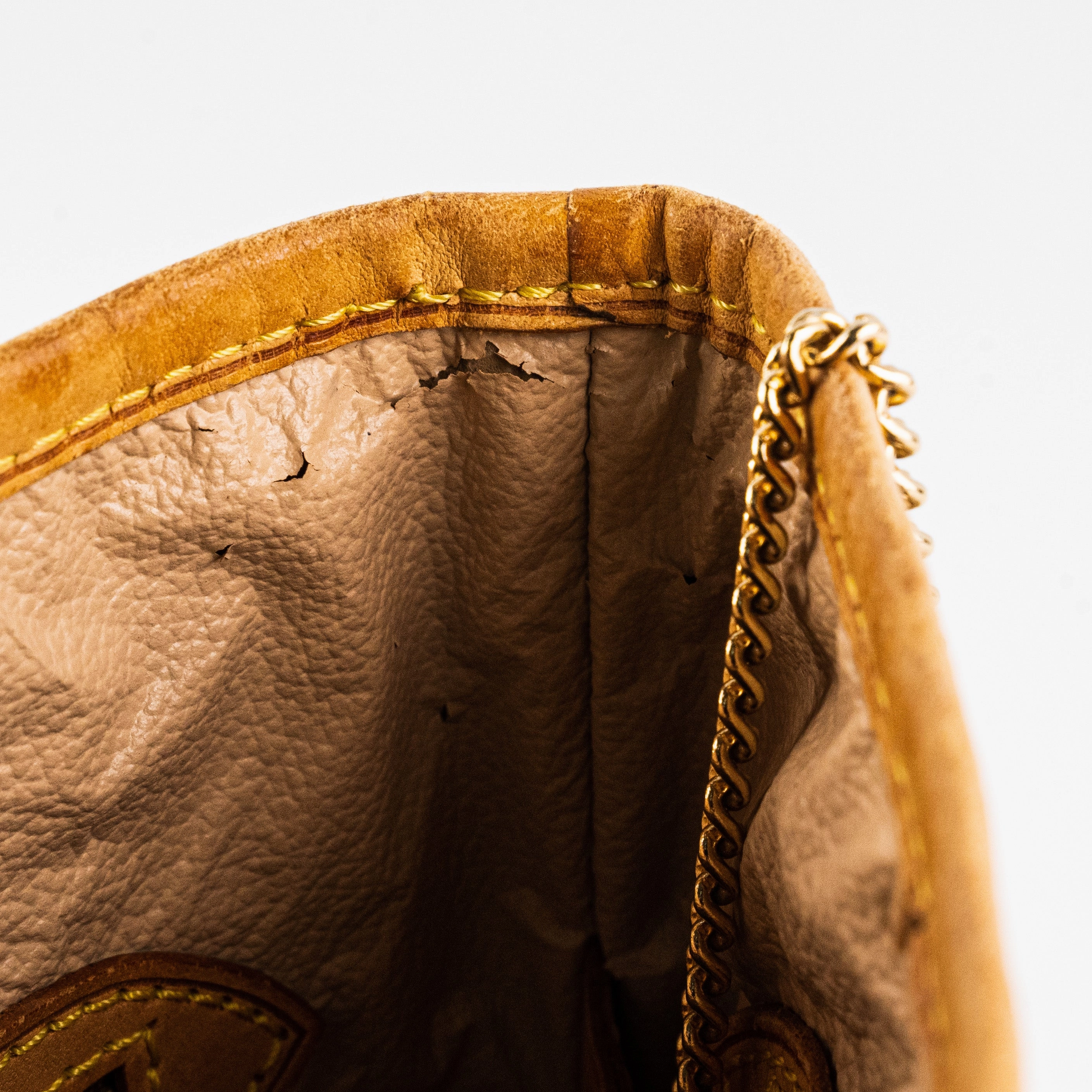 Louis Vuitton Monogram Bucket Bag