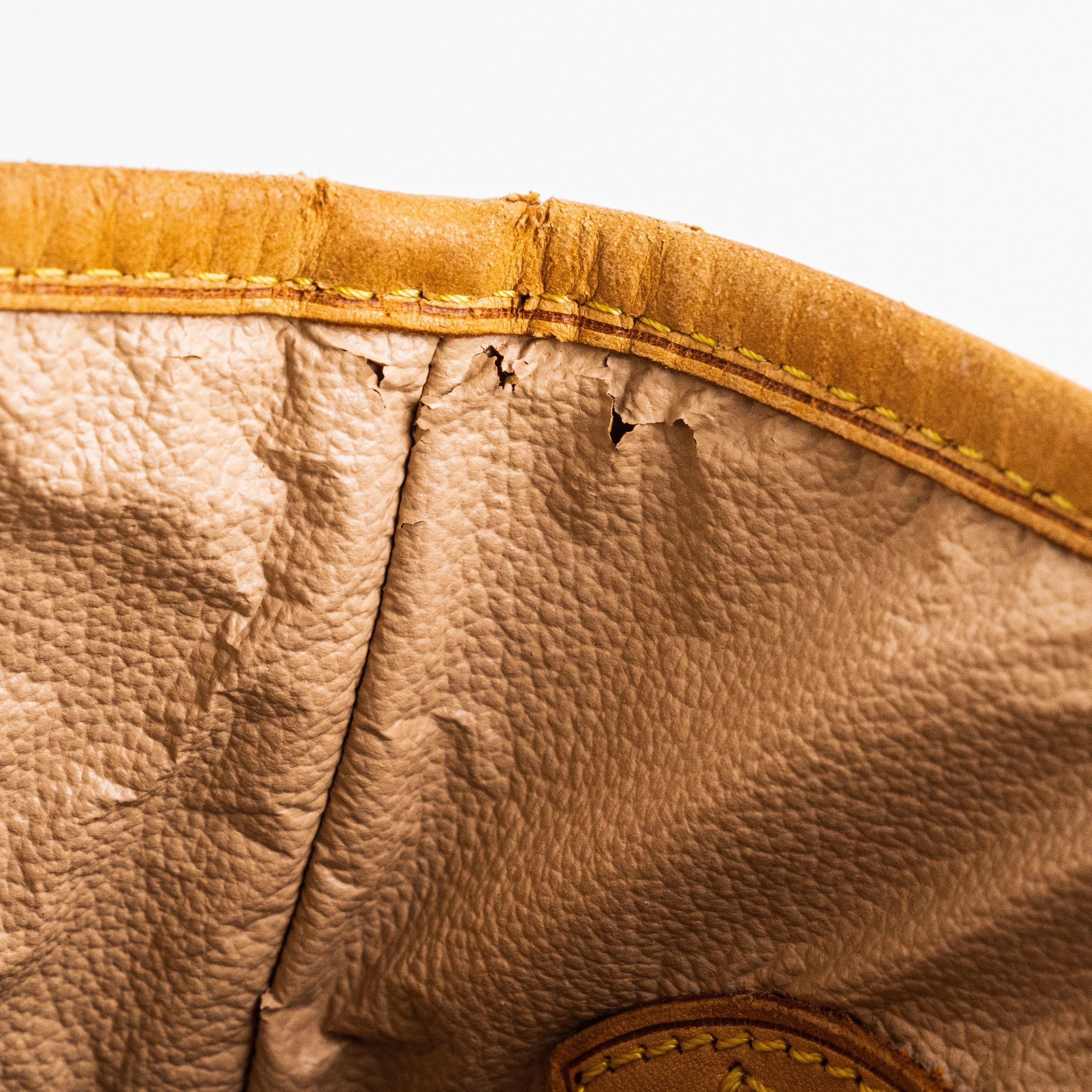 Louis Vuitton Monogram Bucket Bag