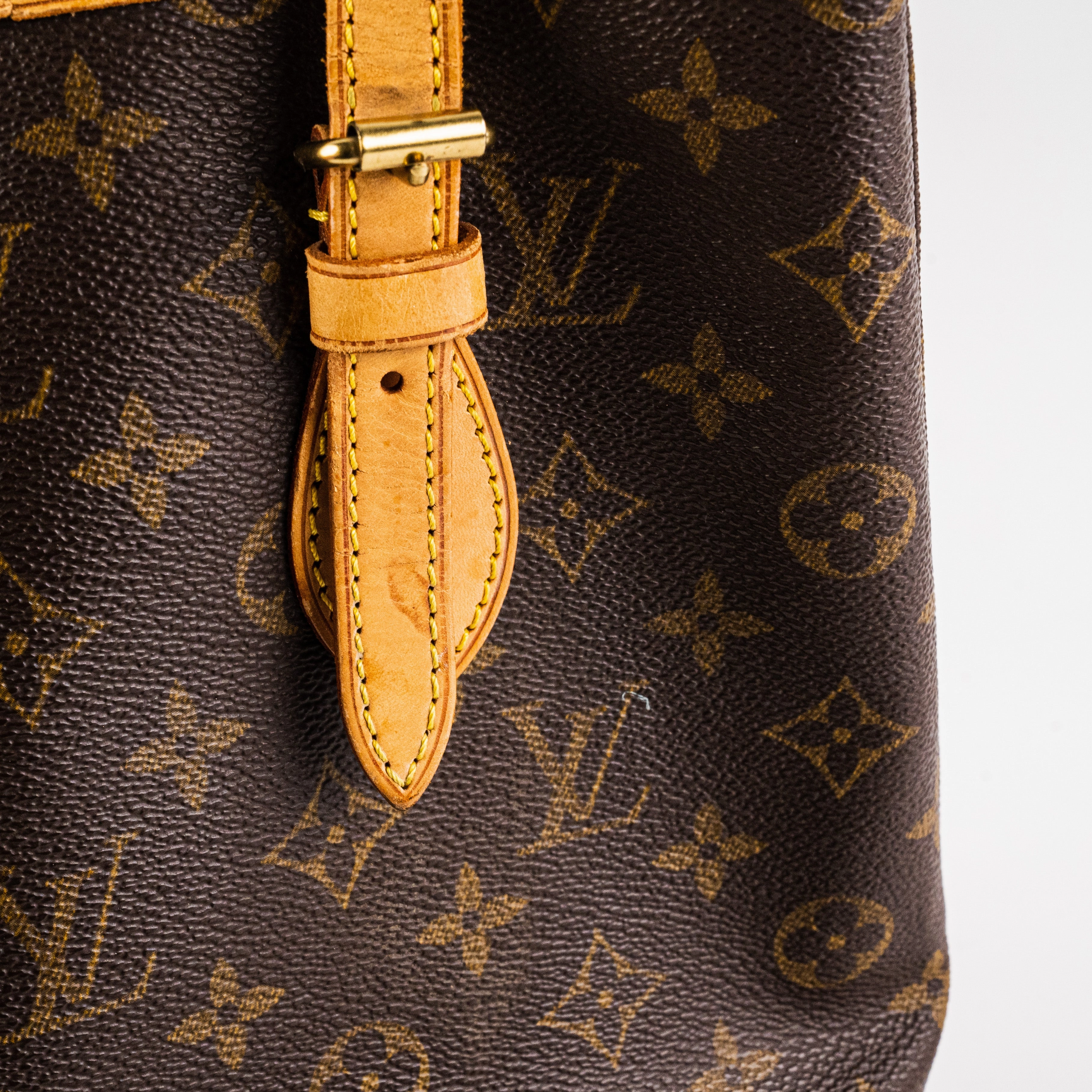 Louis Vuitton Monogram Bucket Bag