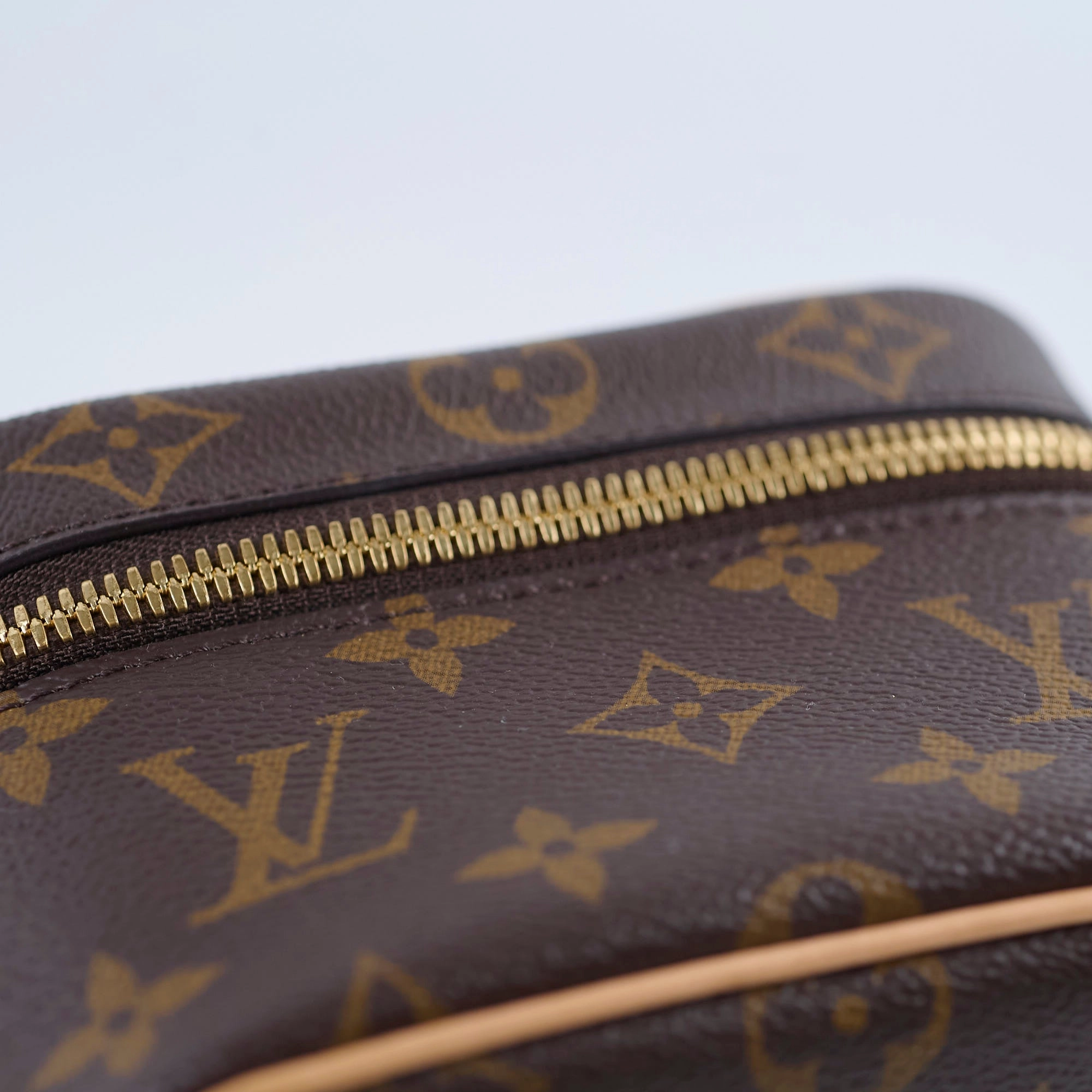 Louis Vuitton Nano Nice Monogram