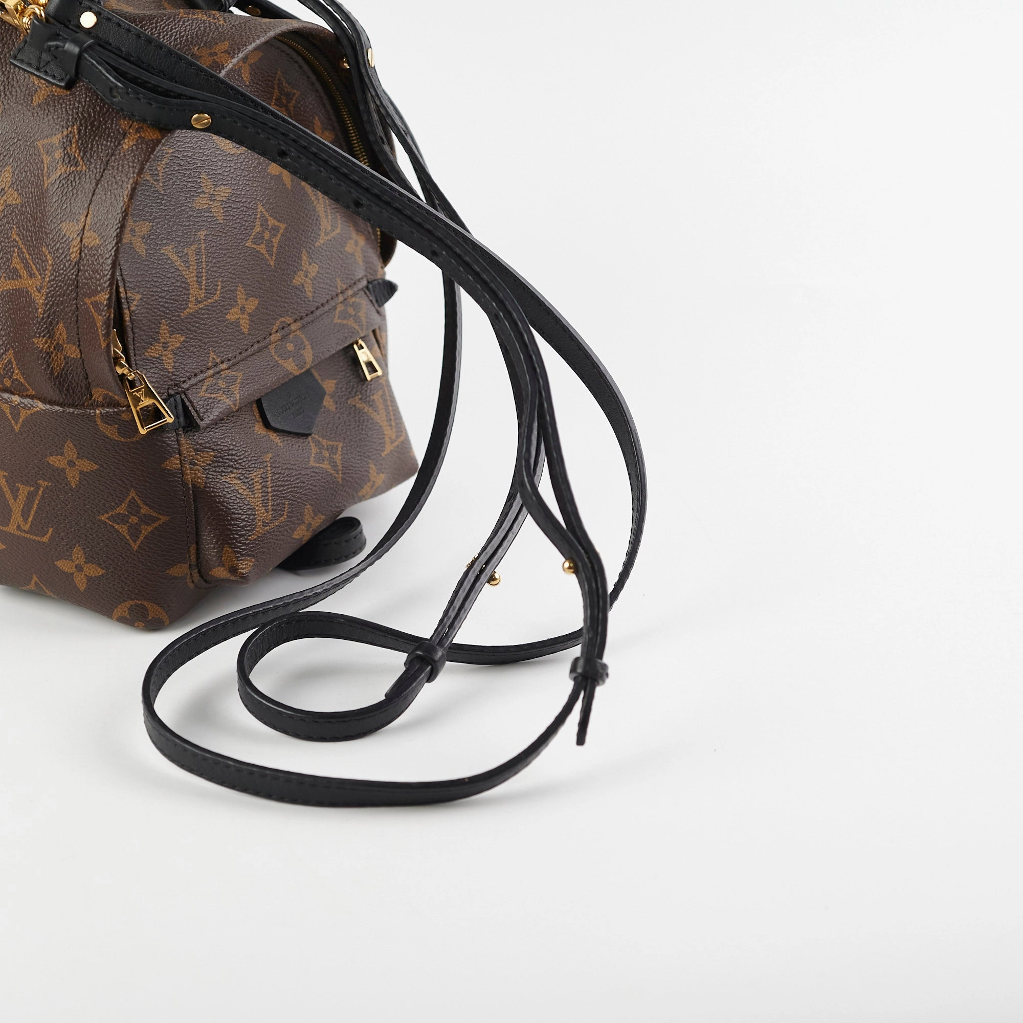 Louis Vuitton Palm Springs Mini Monogram Backpack