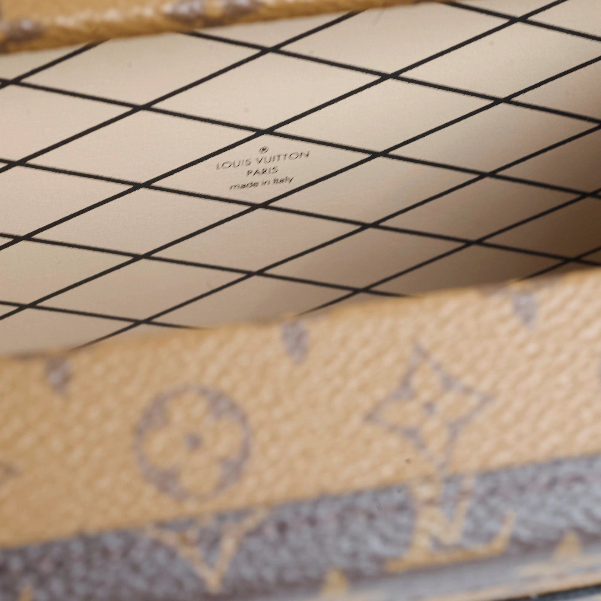 Louis Vuitton Petite Malle Monogram