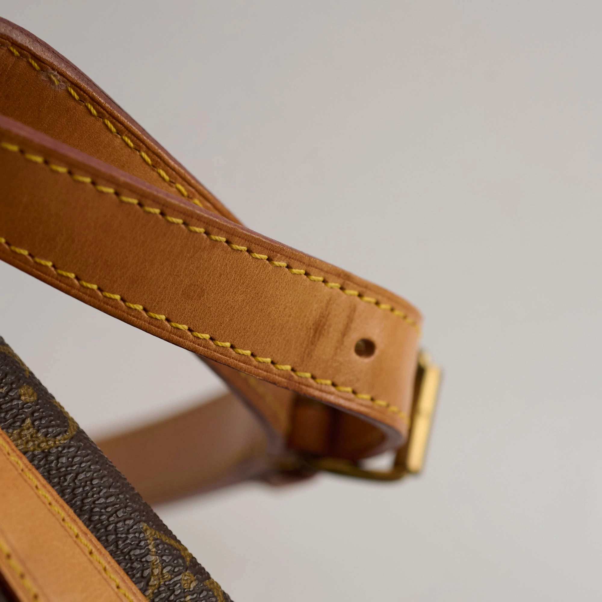 Louis Vuitton Petite Neo Noe Monogram