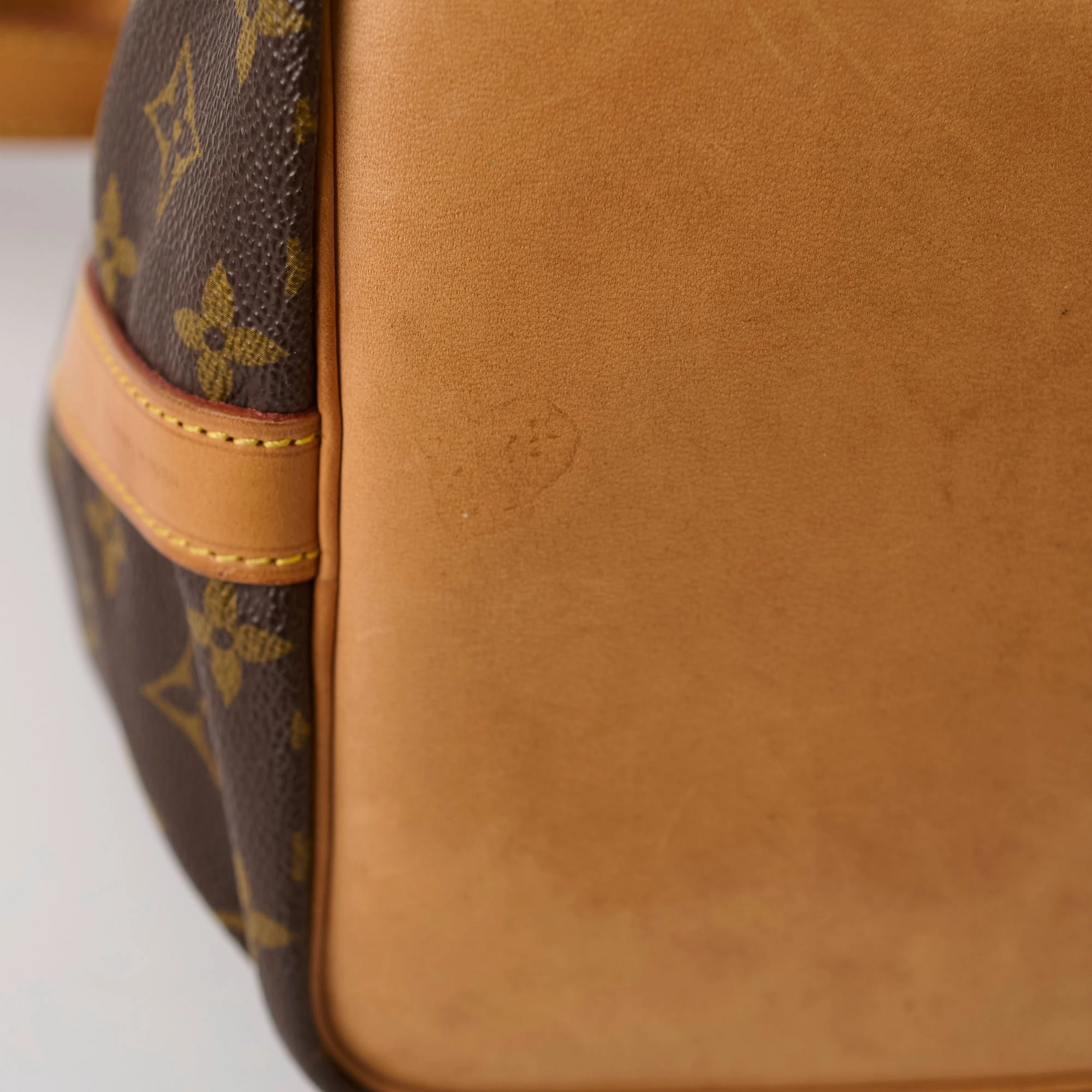 Louis Vuitton Petite Neo Noe Monogram