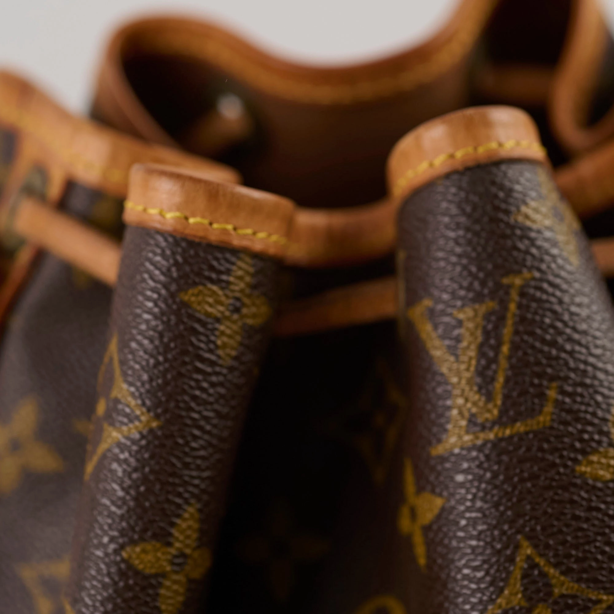 Louis Vuitton Petite Neo Noe Monogram