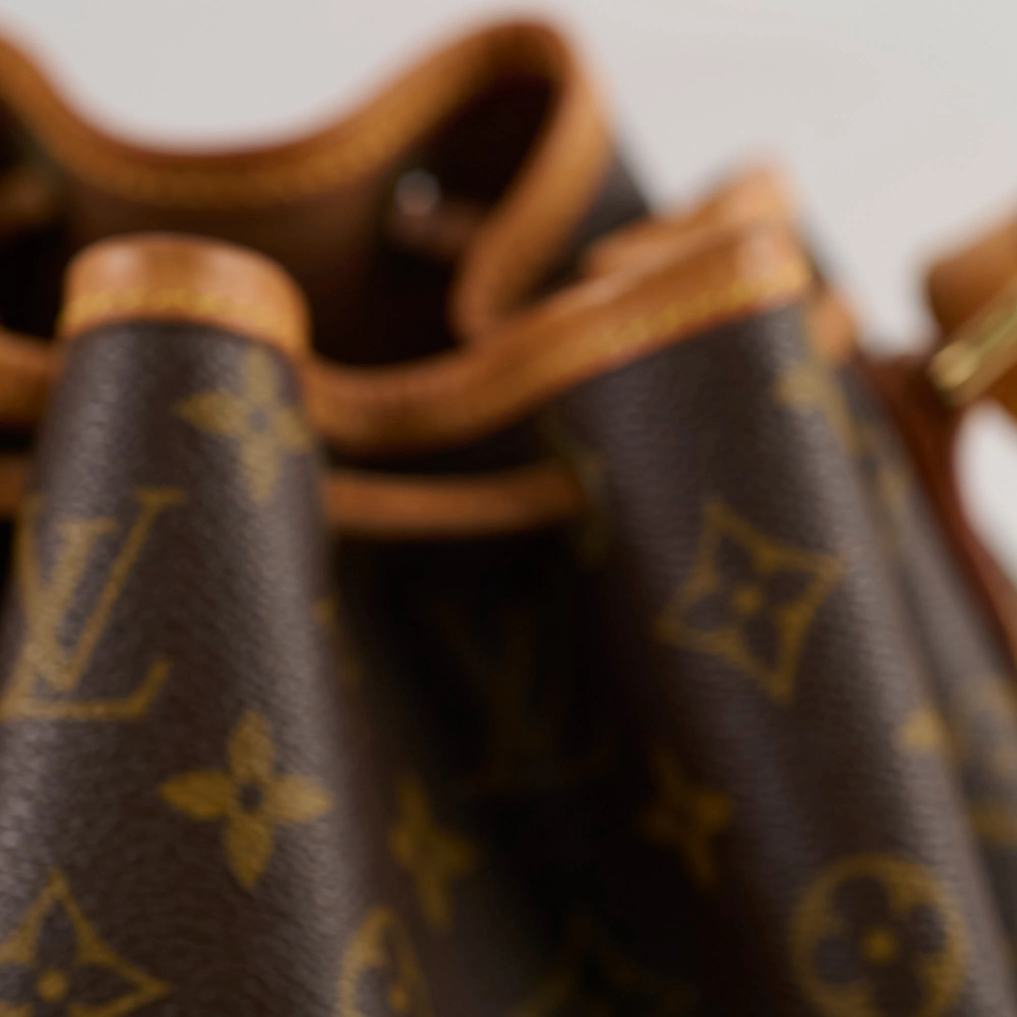 Louis Vuitton Petite Neo Noe Monogram