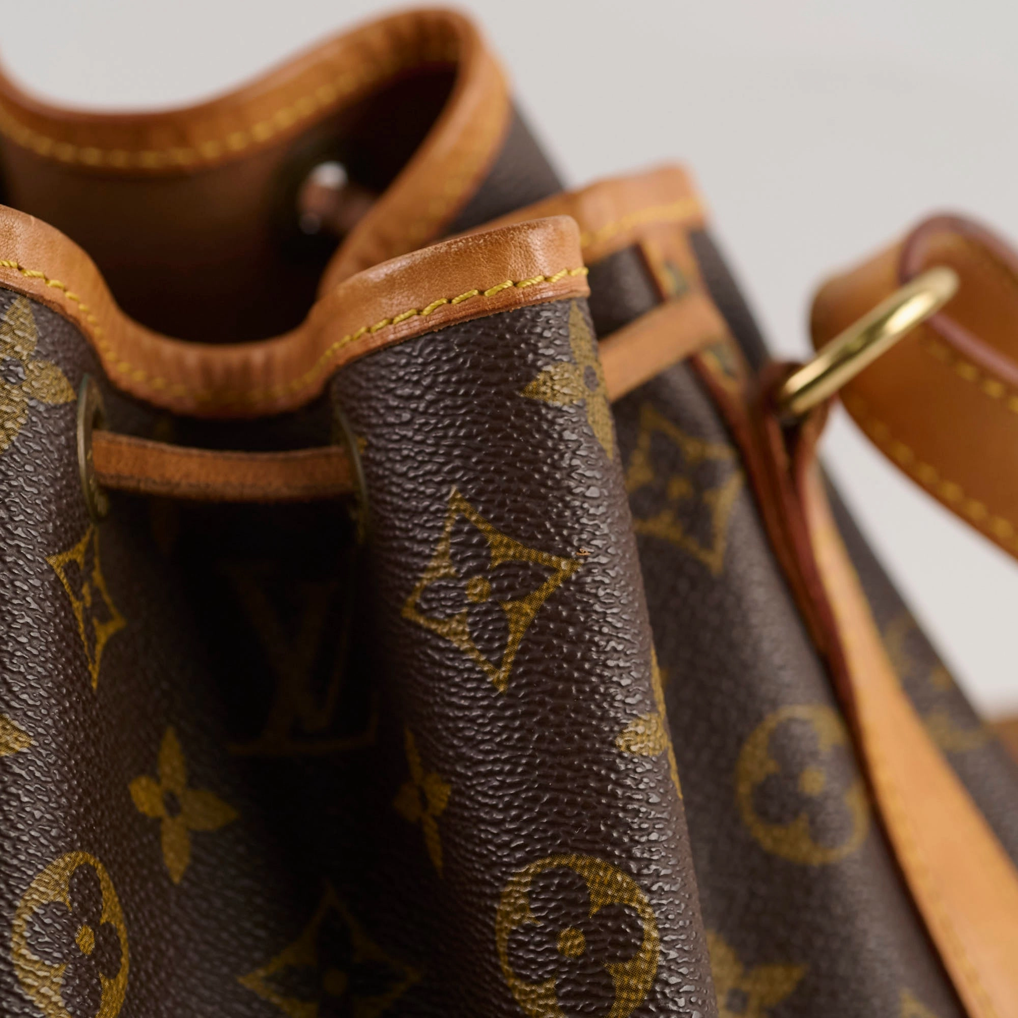Louis Vuitton Petite Neo Noe Monogram