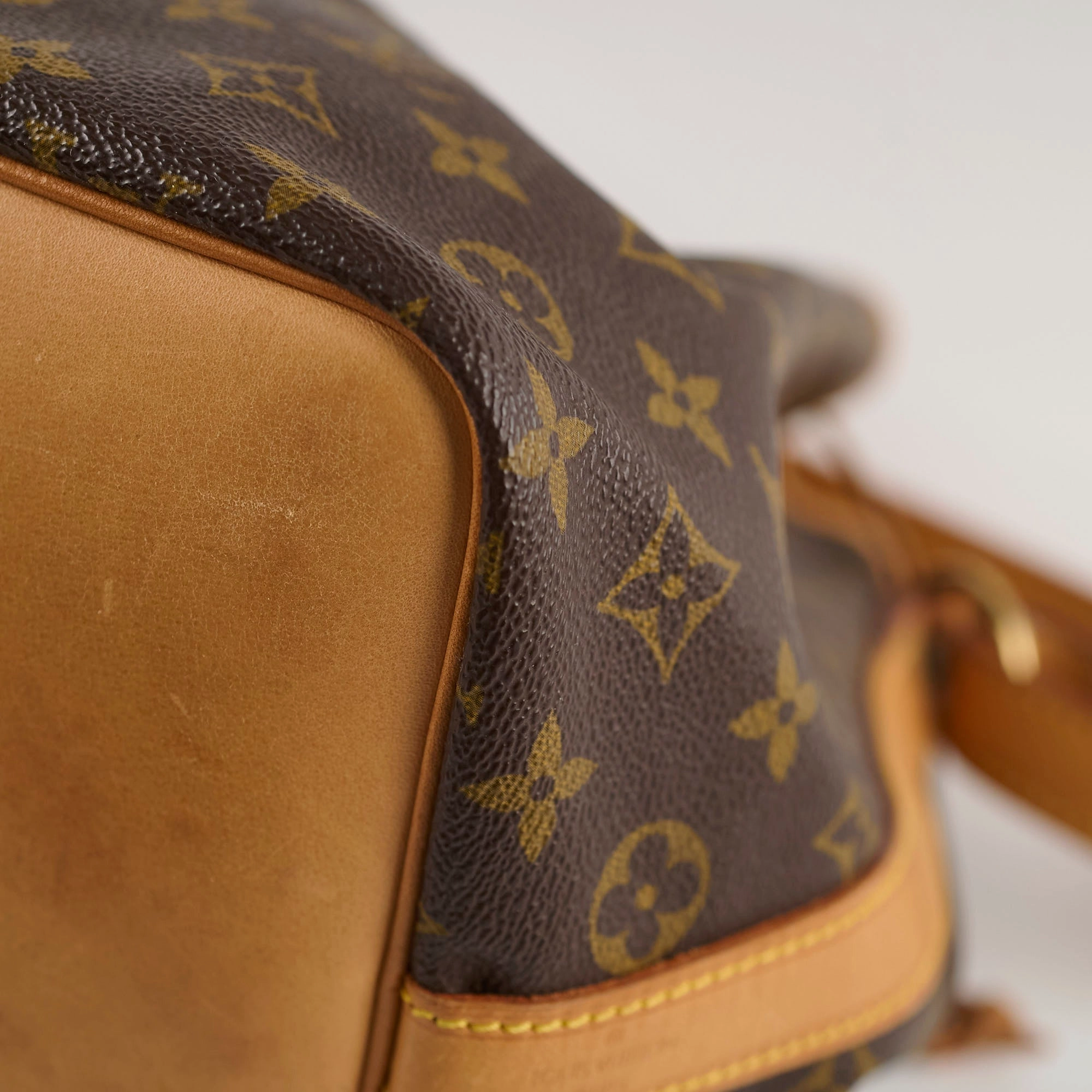 Louis Vuitton Petite Neo Noe Monogram