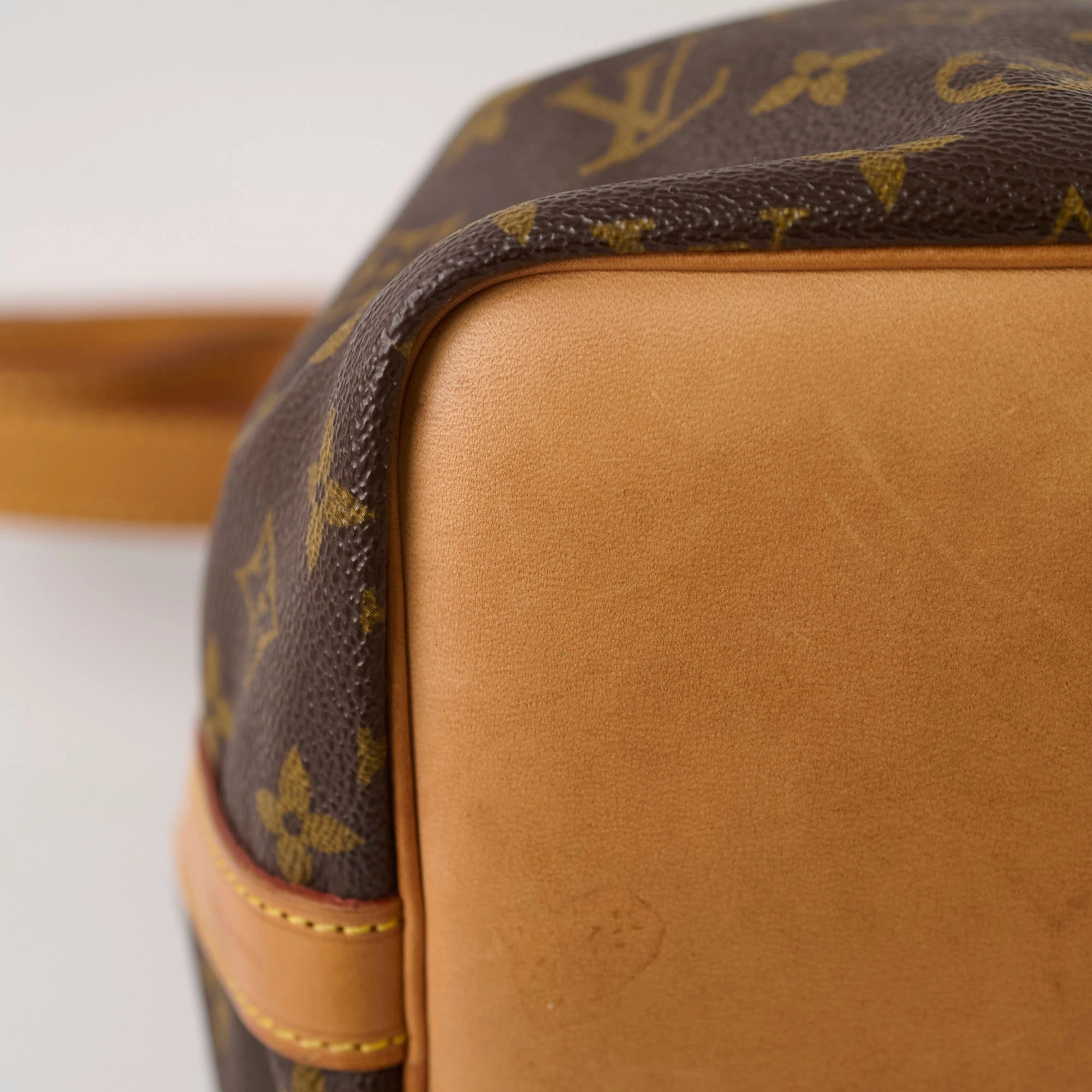 Louis Vuitton Petite Neo Noe Monogram