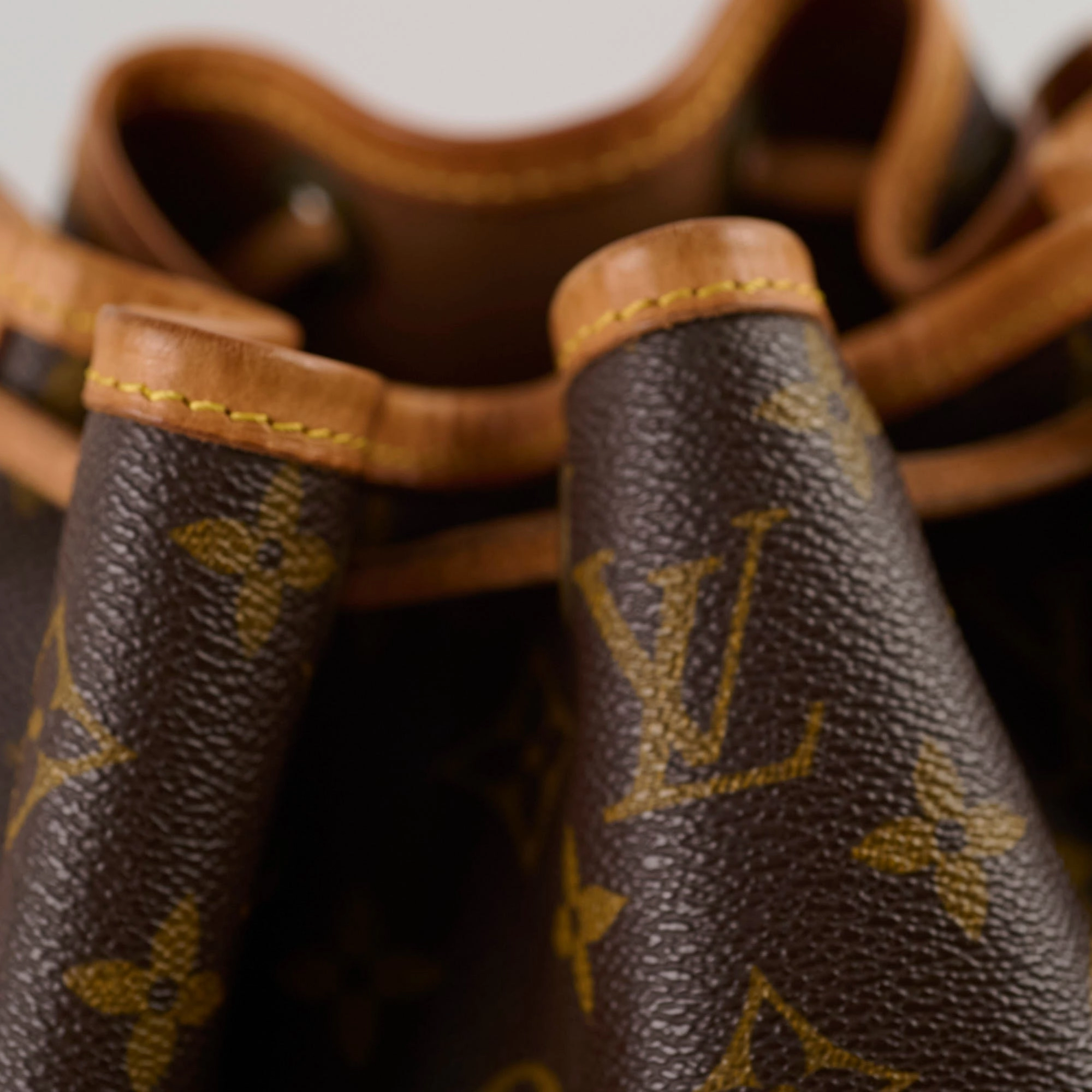 Louis Vuitton Petite Neo Noe Monogram
