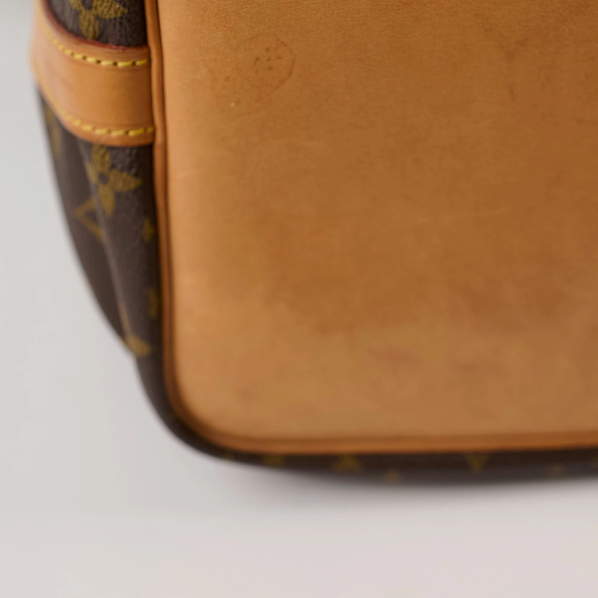 Louis Vuitton Petite Neo Noe Monogram