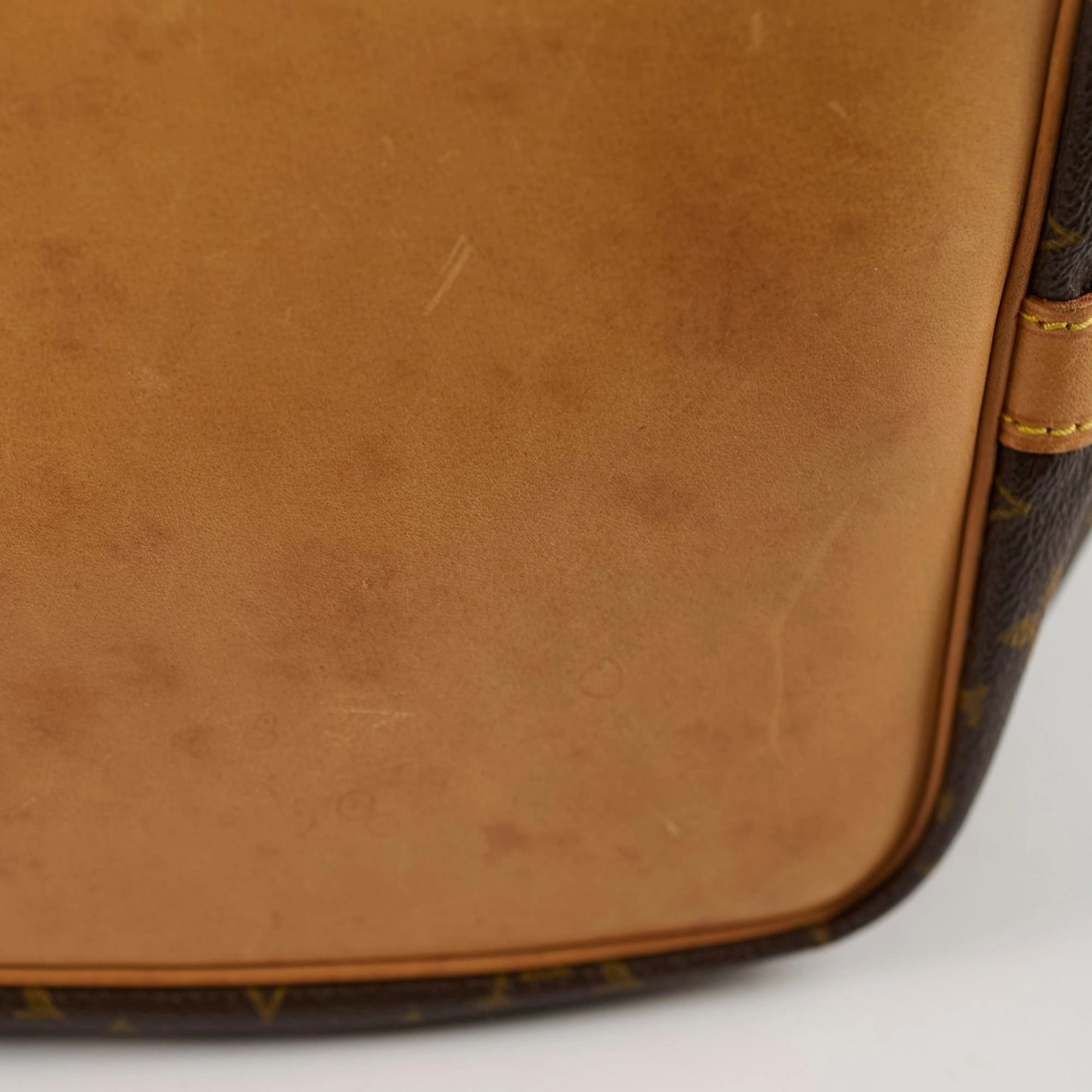 Louis Vuitton Petite Neo Noe Monogram