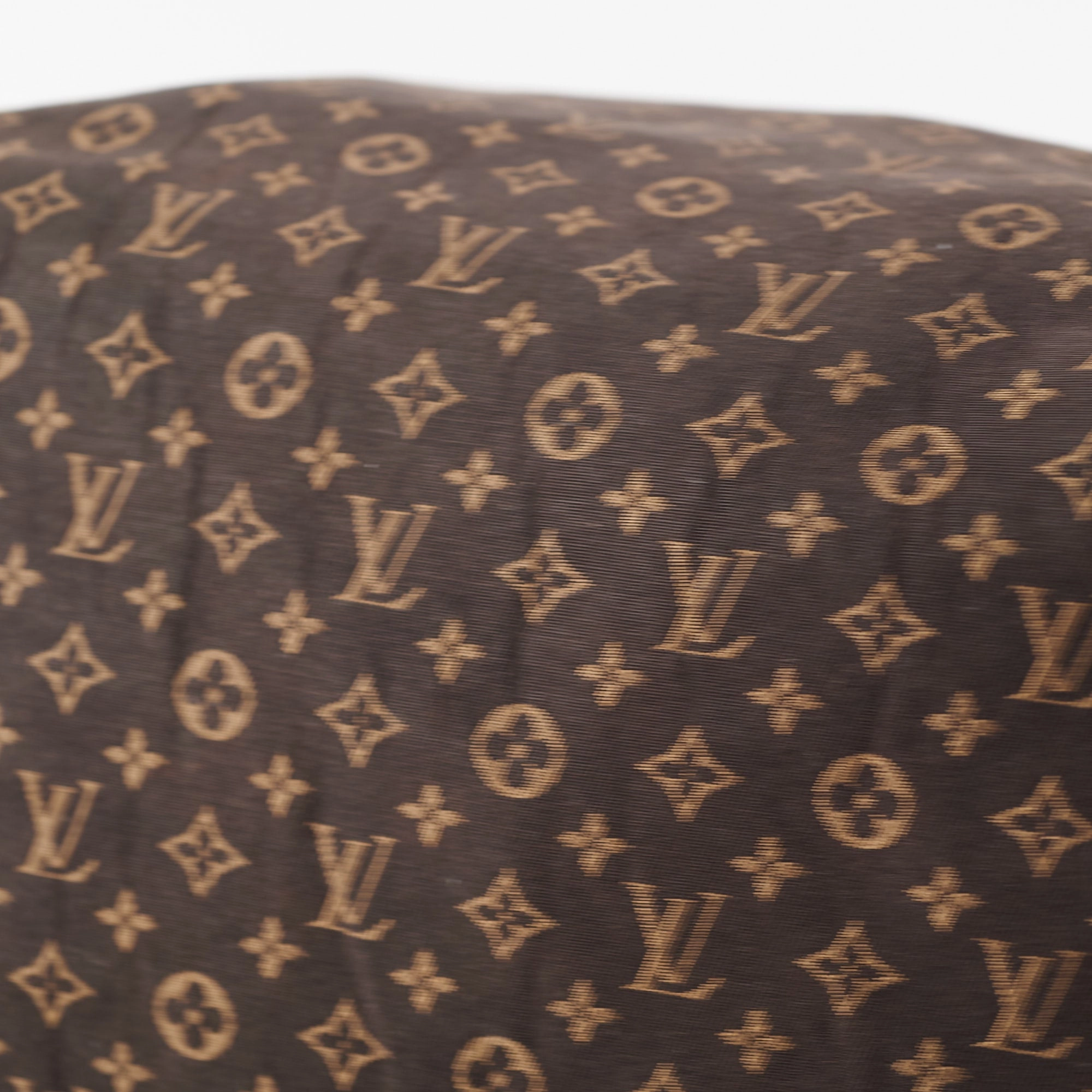 Louis Vuitton Speedy 25 Denim Monogram