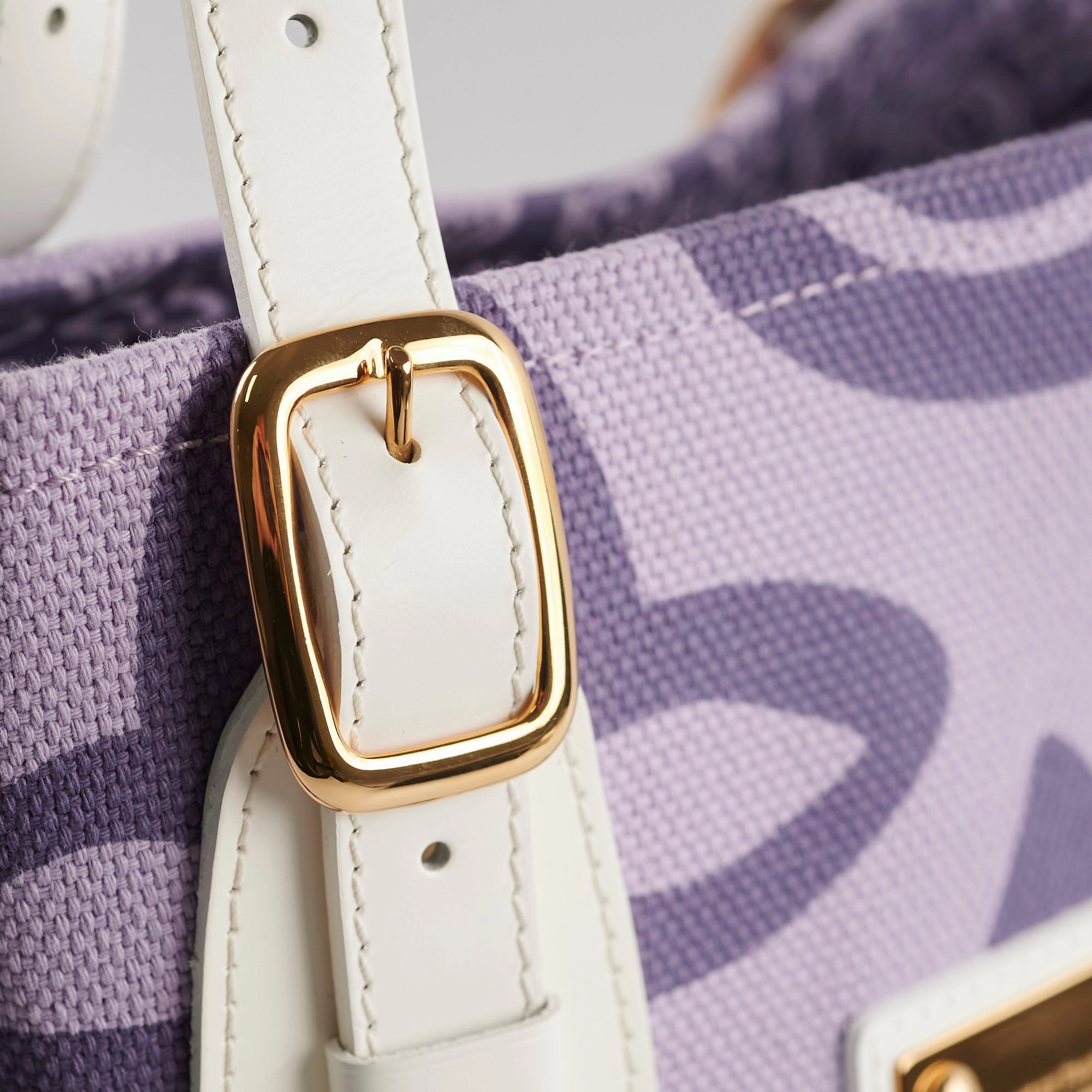 Louis Vuitton Tahitienne Cabas Purple Monogram Tote