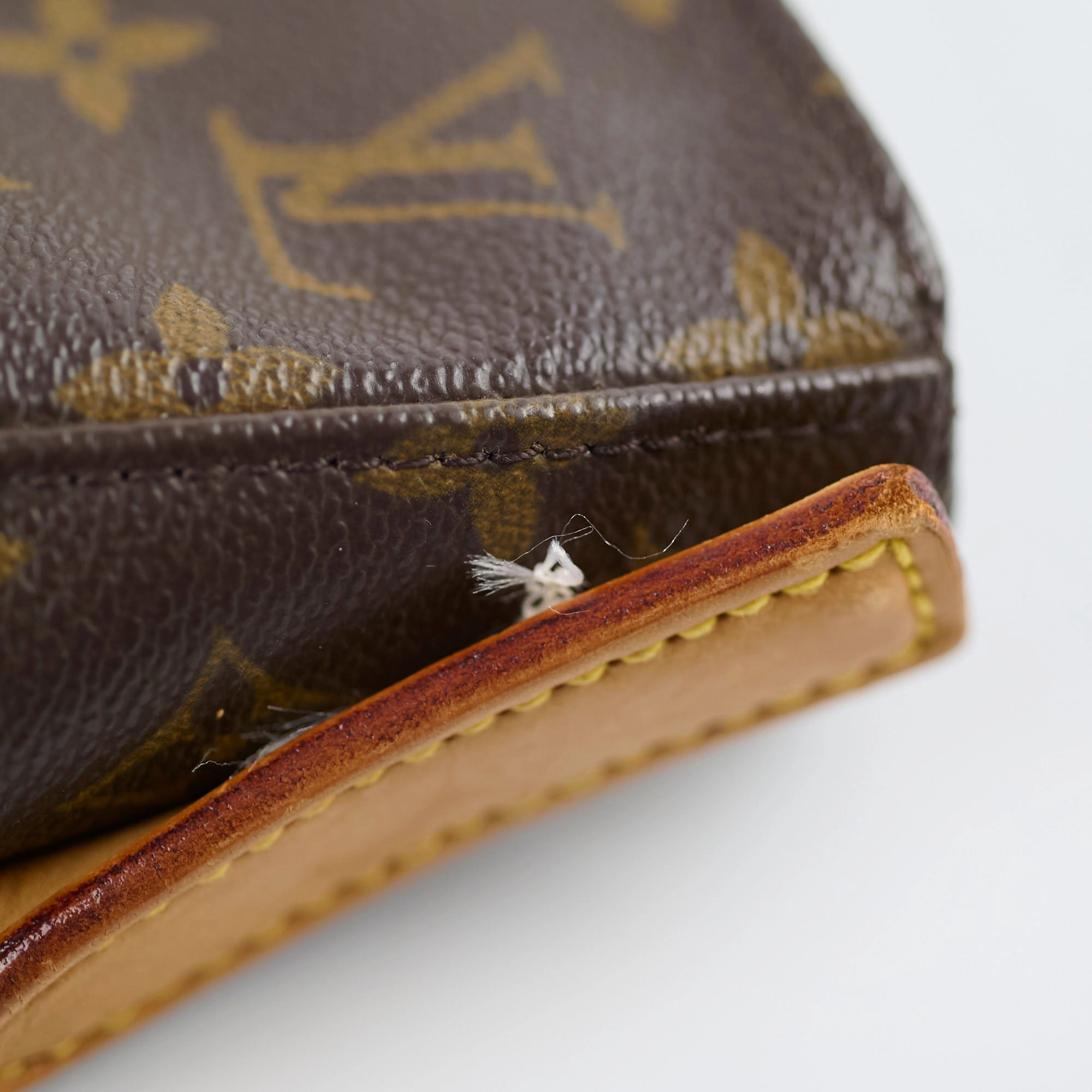 Louis Vuitton Tote Monogram