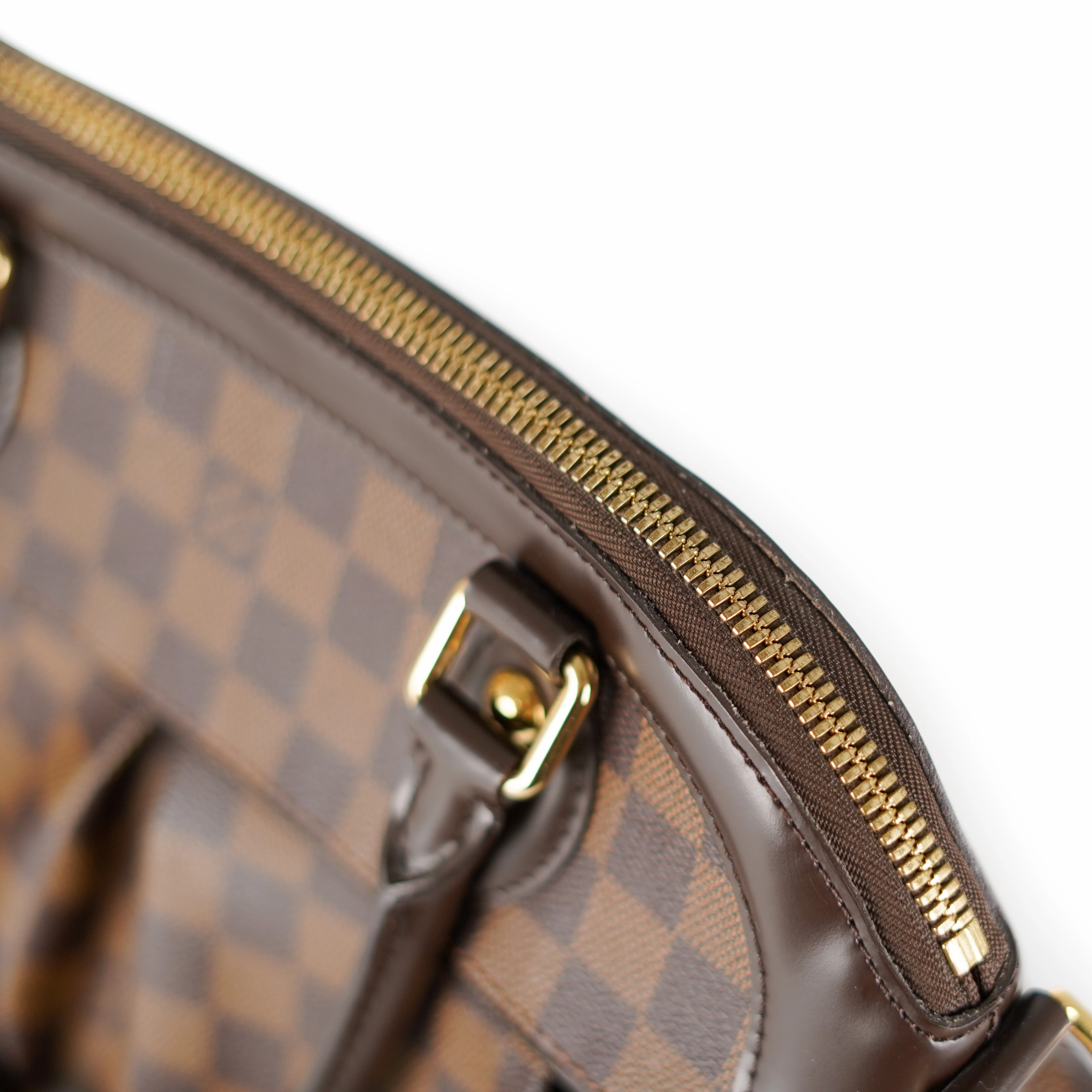 Louis Vuitton Trevi PM Damier Ebene