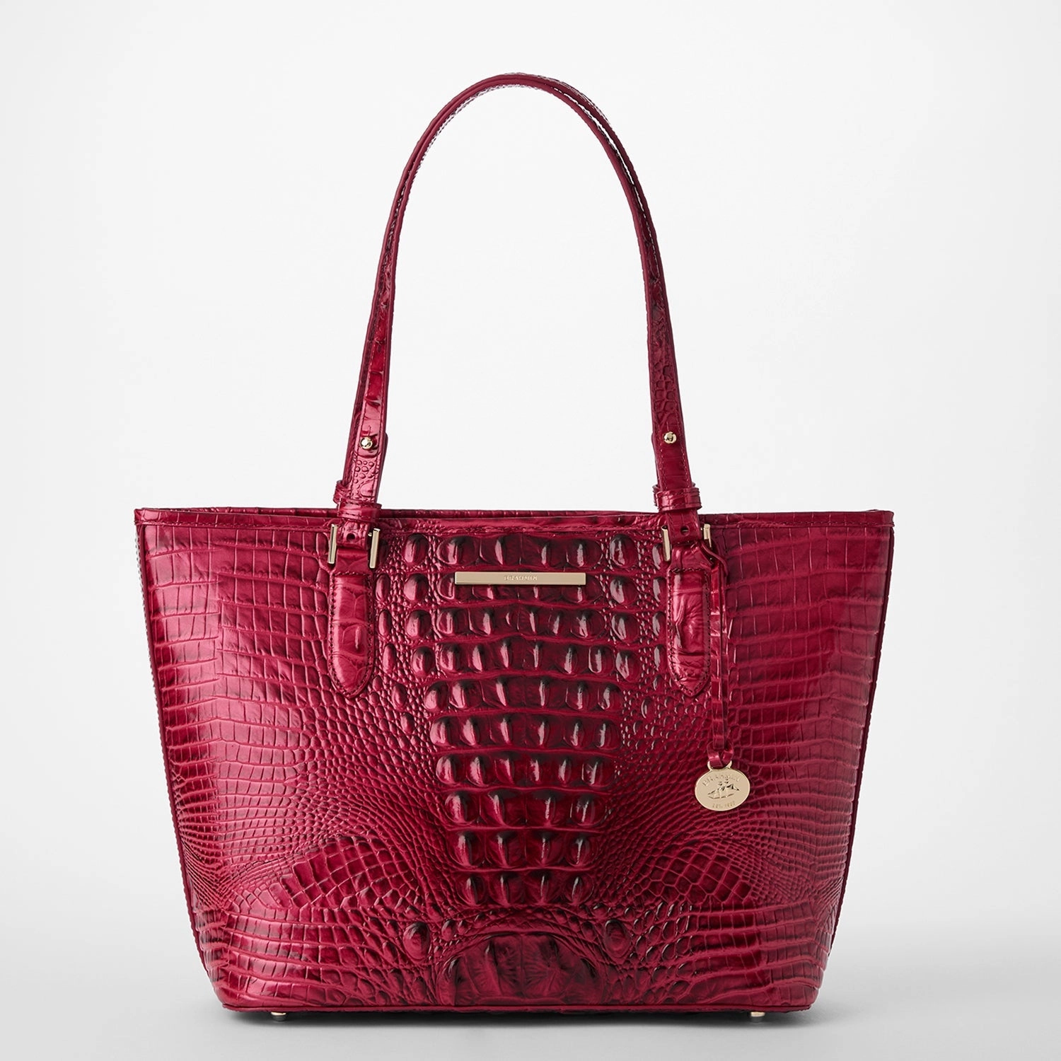 Medium Asher Bags Brahmin Travel Bags